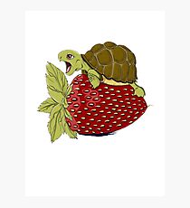 Turtle Berry Photographic Print