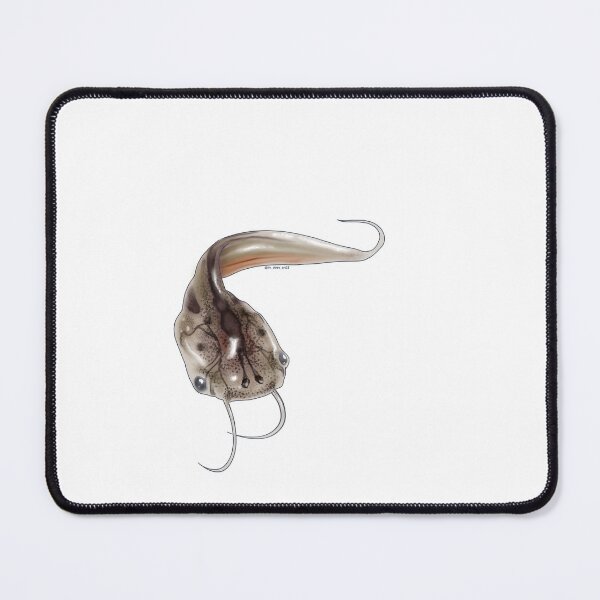 Item preview, Tadpole designed and sold by LivDoesArt23.