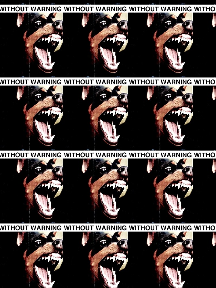 WITHOUT WARNING by xd3ctrl1zed