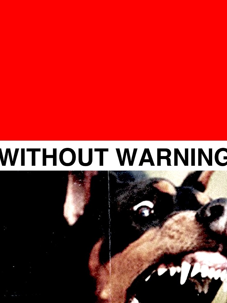 WITHOUT WARNING by xd3ctrl1zed