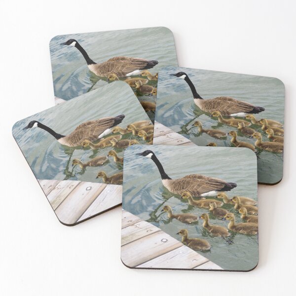 Item preview, Canada Goose Goslings Following Mama designed and sold by BackyardBirder.