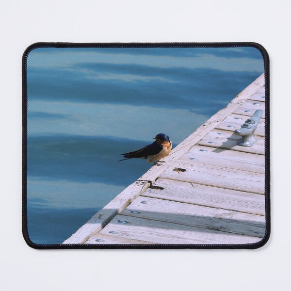Item preview, Barn Swallow Resting On a Dock designed and sold by BackyardBirder.
