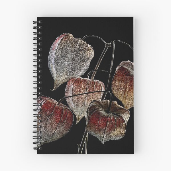 Item preview, Chinese lantern designed and sold by andreisky.