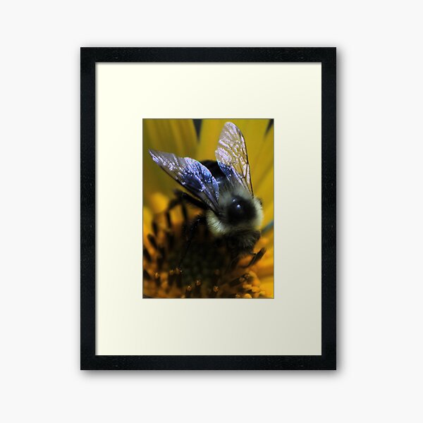 Item preview, Bee Macro 1 designed and sold by LittleStarCreat.