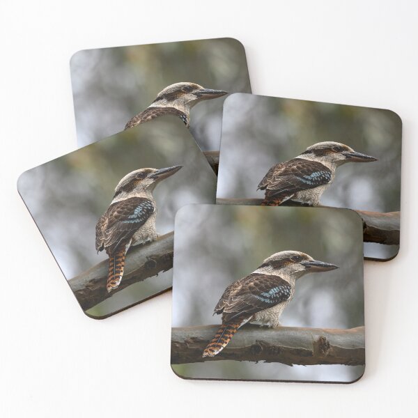 Item preview, Kookaburra designed and sold by Jan Fijolek.