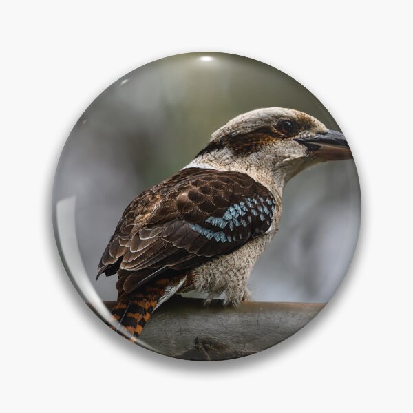 Item preview, Kookaburra designed and sold by Jan Fijolek.