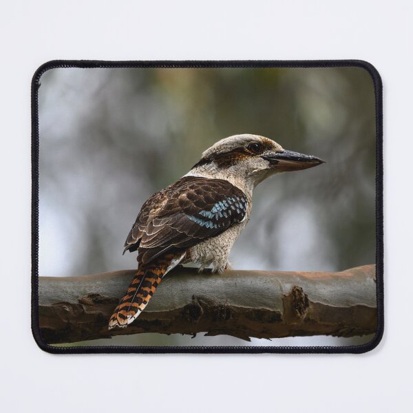Item preview, Kookaburra designed and sold by Jan Fijolek.