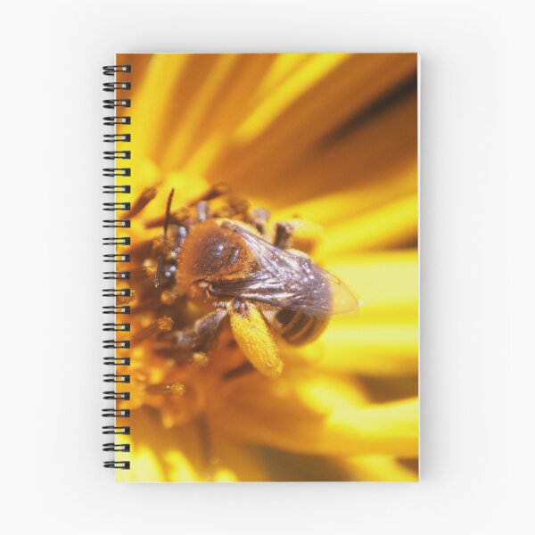 Item preview, Bee Macro 2 designed and sold by LittleStarCreat.
