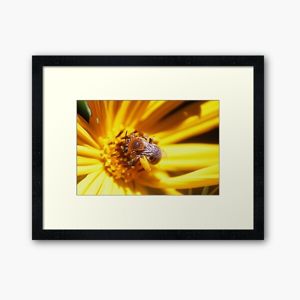 Item preview, Bee Macro 2 designed and sold by LittleStarCreat.