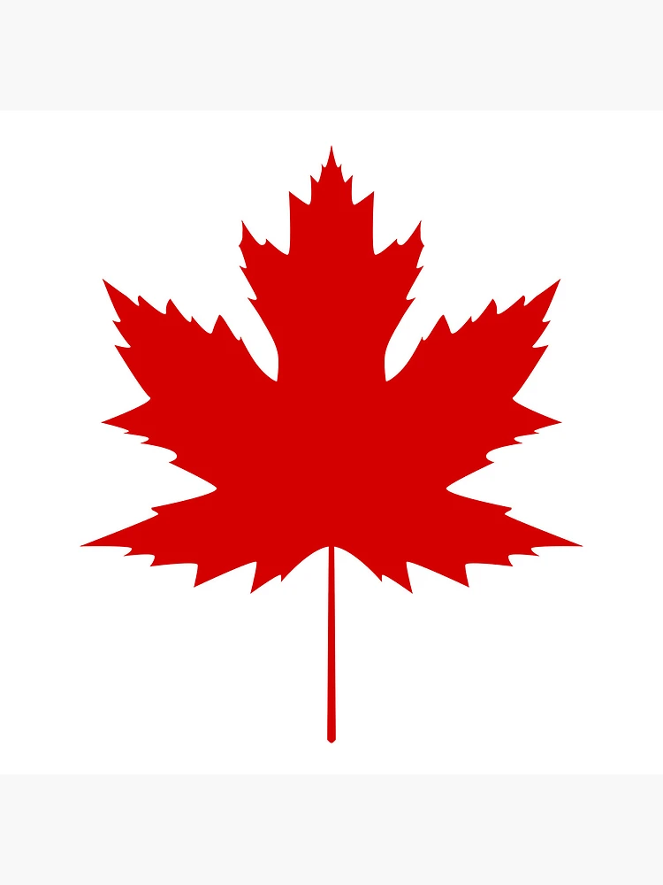 Thumbnail 5 of 5, Coasters (Set of 4), Maple leaf designed and sold by BlueBerry45.
