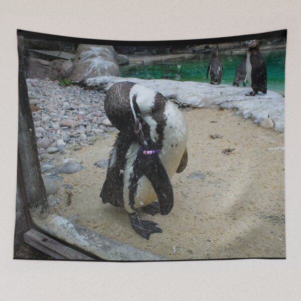 Item preview, A good itch designed and sold by Belles-Photos.