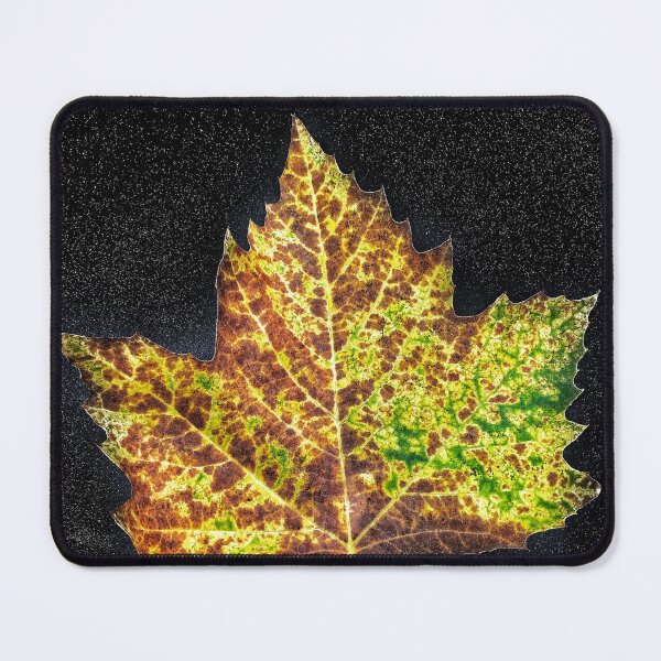 Item preview, Portrait Of A Fallen Leaf designed and sold by MyPhotoDreams.