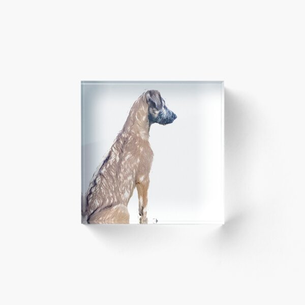 Aperçu de l'œuvre Qu'est ce que c'est?  créée et vendue par DigiDog Designs.