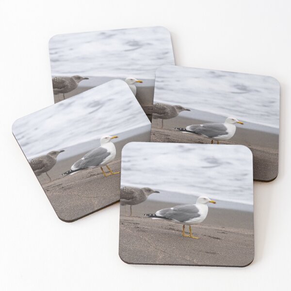 Item preview, Yellow-legged gulls designed and sold by ansaharju.