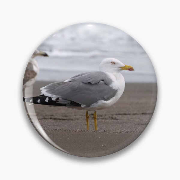 Item preview, Yellow-legged gulls designed and sold by ansaharju.