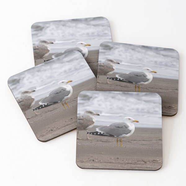 Item preview, Yellow-legged gulls designed and sold by ansaharju.