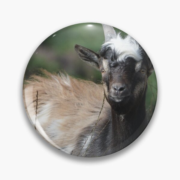 Item preview, Tryfan Mountain Goat,Snowdonia designed and sold by Derren Jones.