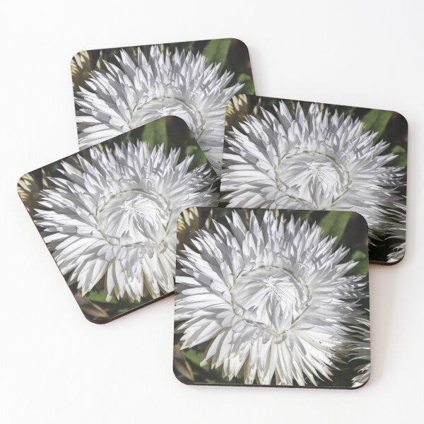 Item preview, White paper daisy. designed and sold by Ian Ramsay.