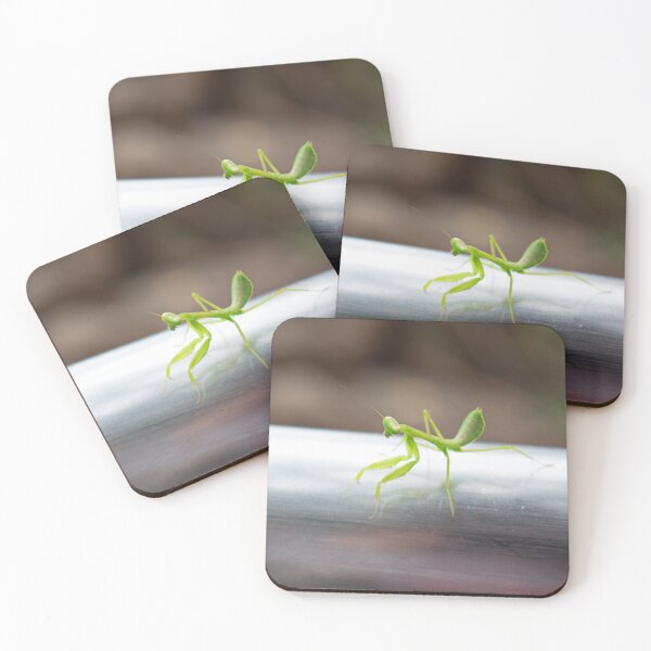 Item preview, Preying Mantis designed and sold by MorellaPhotos.