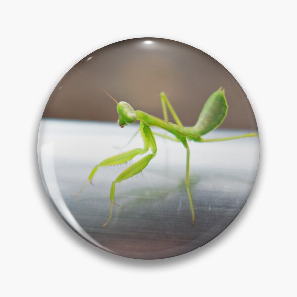 Item preview, Preying Mantis designed and sold by MorellaPhotos.