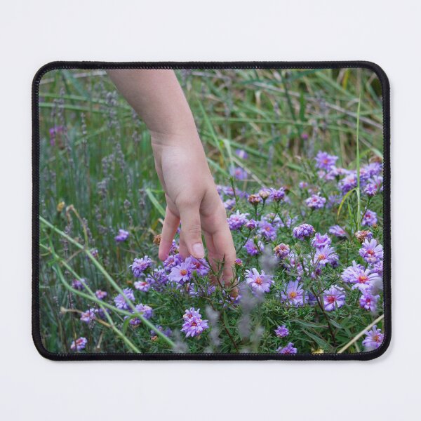 Item preview, New England Aster designed and sold by MorellaPhotos.