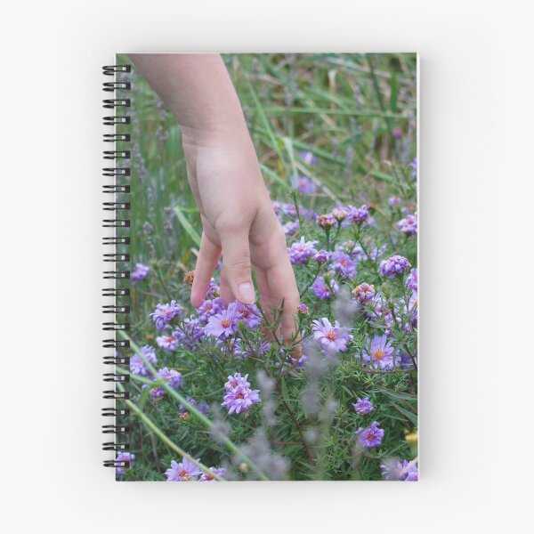 Item preview, New England Aster designed and sold by MorellaPhotos.