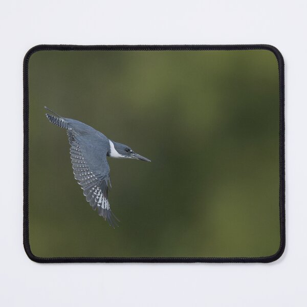 Item preview, Belted Kingfisher in Flight designed and sold by Puttaswamy Ravishankar.