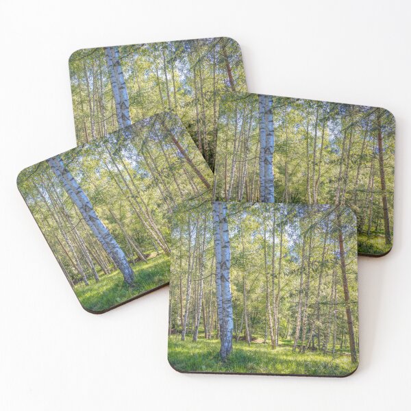 Item preview, Silver Birch Forest in Trentino designed and sold by Viv Thompson Photography .
