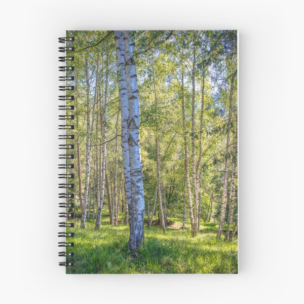 Item preview, Silver Birch Forest in Trentino designed and sold by Viv Thompson Photography .