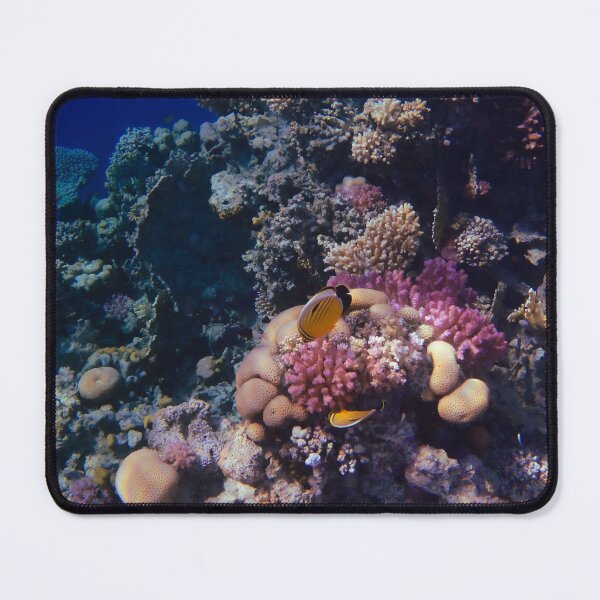 Item preview, A Beautiful View Underwater designed and sold by hurmerinta.