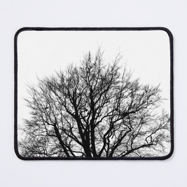Item preview, Beech silhouette, monochrome designed and sold by paulboizot.