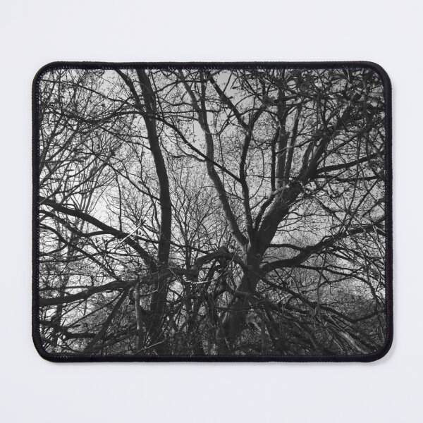 Item preview, Jumbled branches 1 (monochrome), Hob Moor, York designed and sold by paulboizot.