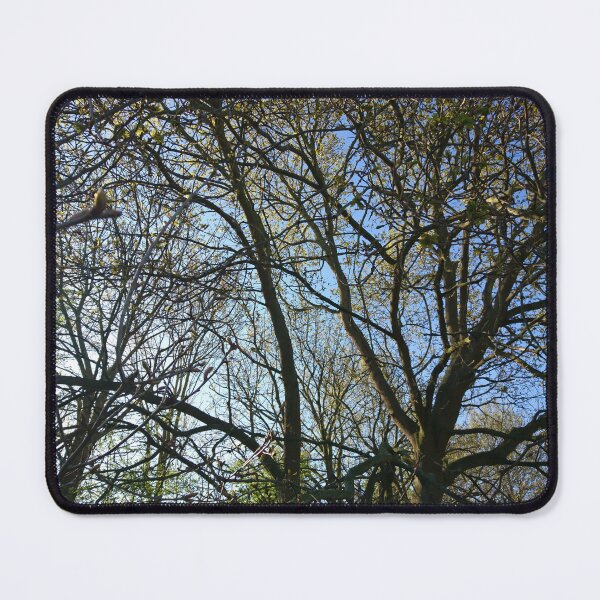 Item preview, Jumbled branches 2, Hob Moor, York designed and sold by paulboizot.
