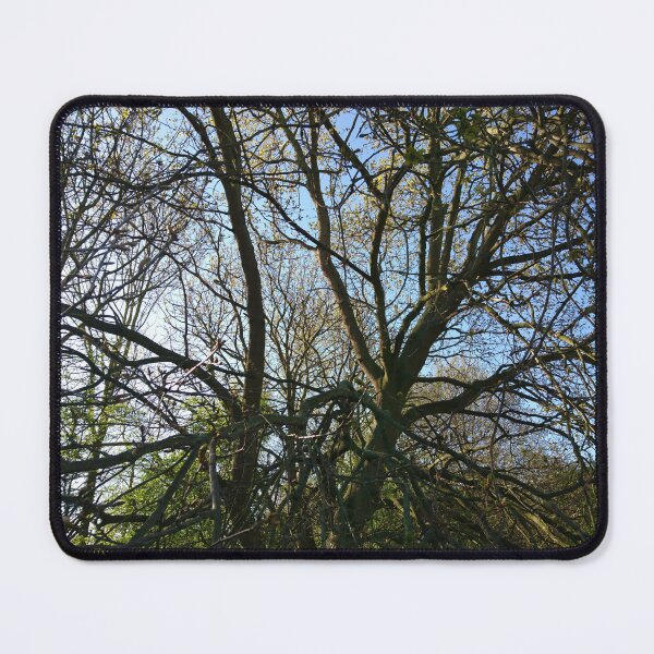 Item preview, Jumbled branches 1, Hob Moor, York designed and sold by paulboizot.
