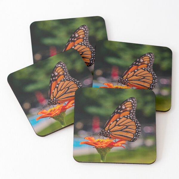 Item preview, Butterfly, pit stop designed and sold by browncardinal8.
