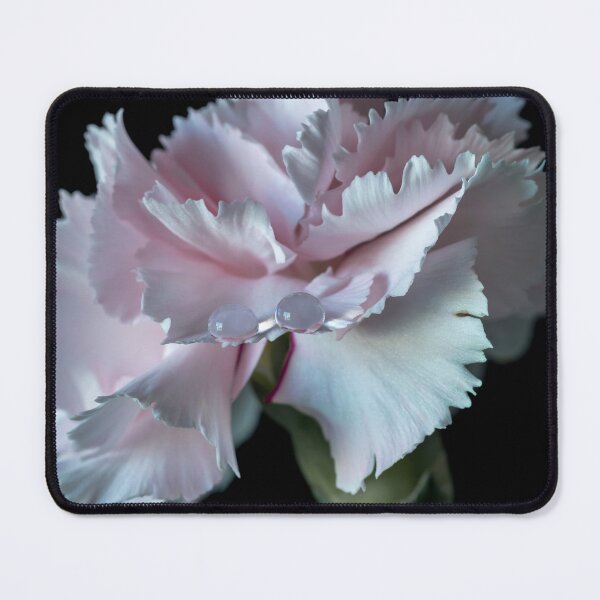 Item preview, Carnation flower with drops inside designed and sold by Federpics.