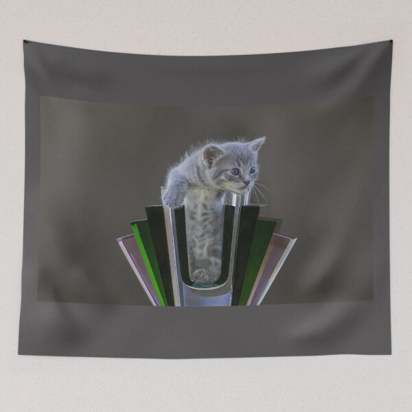 Item preview, Curious Grey Kitten designed and sold by Puttaswamy Ravishankar.
