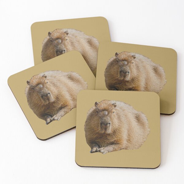 Item preview, Capybara dozing in the sunshine designed and sold by Dalyndigital Photography.