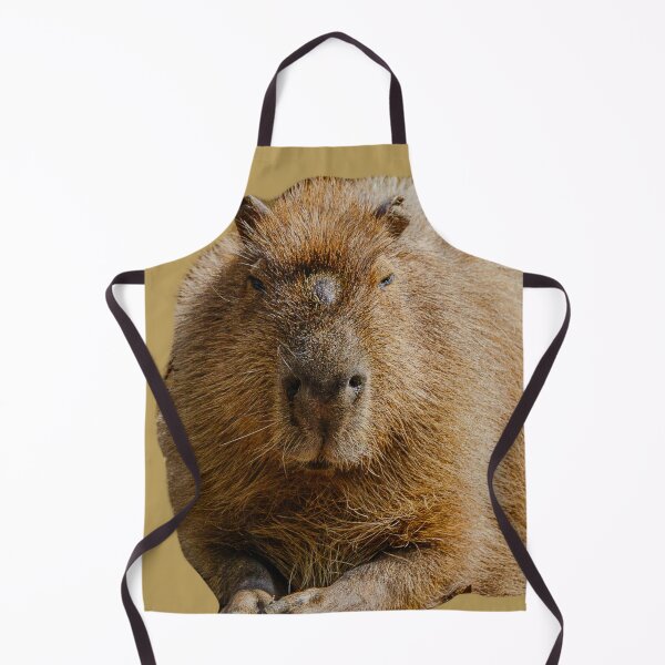 Item preview, Capybara dozing in the sunshine designed and sold by OwlOccasions.