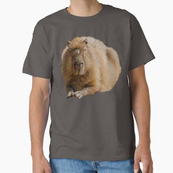 Item preview, Capybara dozing in the sunshine designed and sold by OwlOccasions.