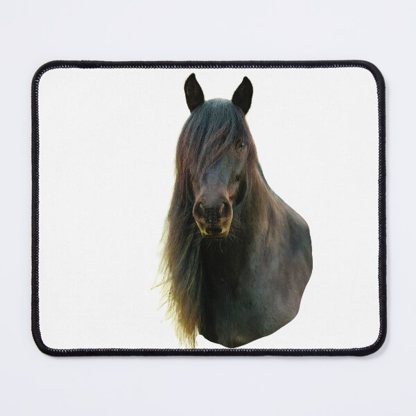 Item preview, Magnificent Black Horse designed and sold by Dalyndigital Photography.