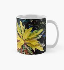 Nacht Coleus Tasse (Standard)