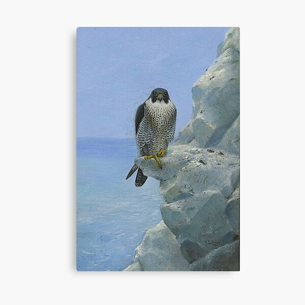 Vista previa del artículo con la obra «1896 Un halcón peregrino en un acantilado de tiza | Retrato de un desierto, óleo sobre lienzo, impresión | Por George Edward Lodge», diseñado y vendido por Jéanpaul  Ferro.