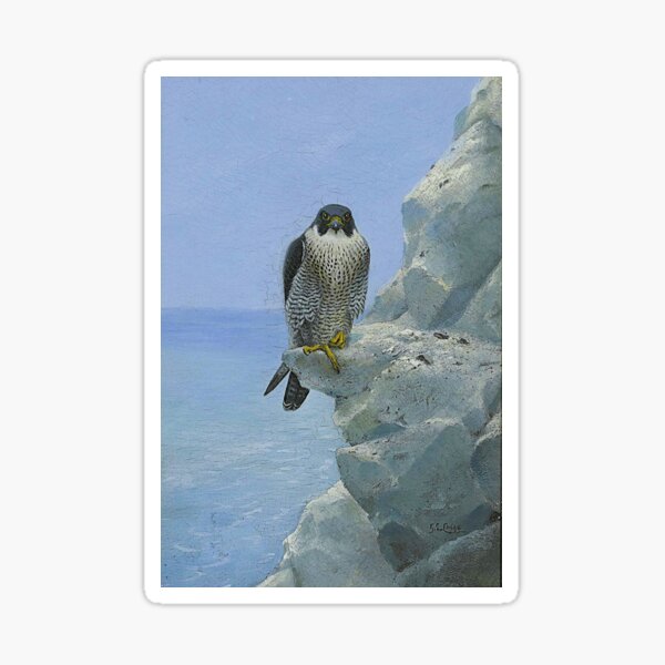 Item preview, 1896 a peregrine falcon on a chalk cliff | portrait wilderness oil on canvas painting print | by George Edward Lodge designed and sold by Jéanpaul  Ferro.