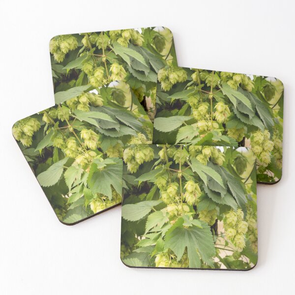 Item preview, Hops designed and sold by JEZ22.