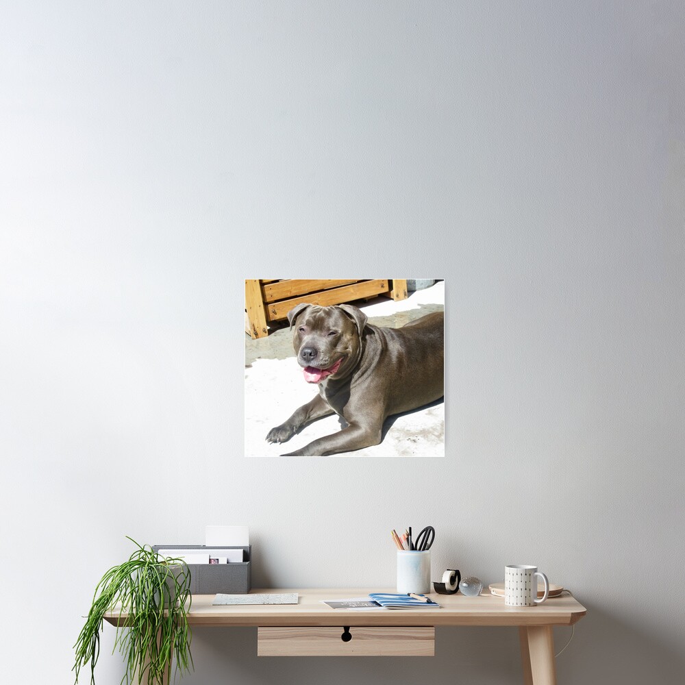 Item preview, Poster designed and sold by Shulie1.