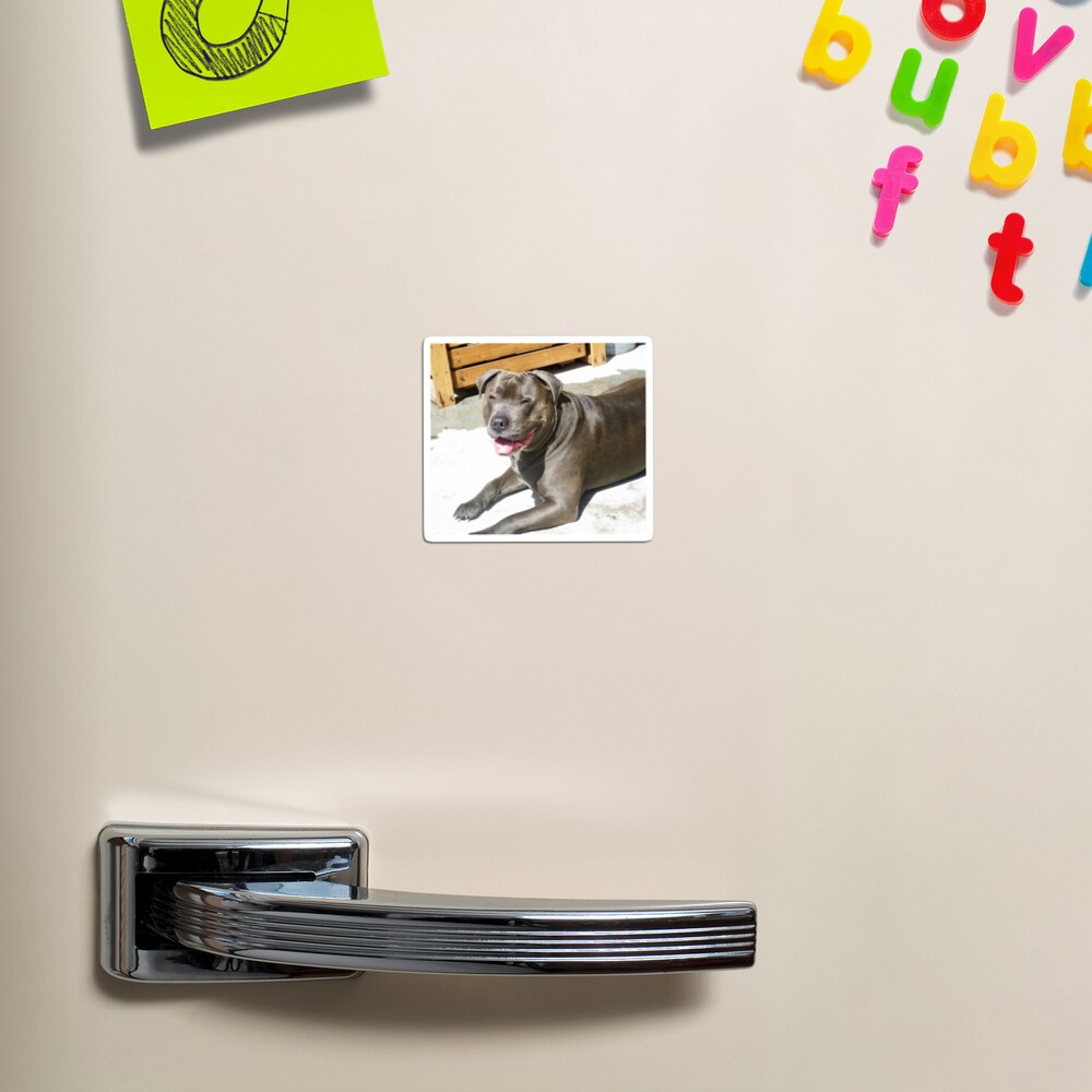 Item preview, Magnet designed and sold by Shulie1.