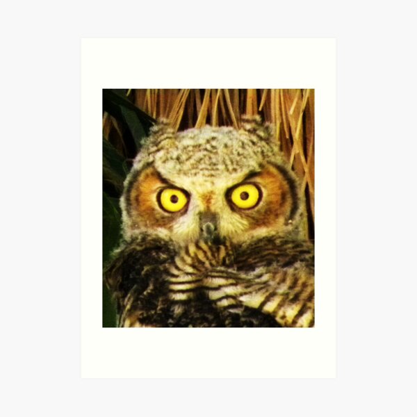 Hoo- Hee Art Print