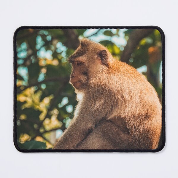Item preview, Monkey Forest - Ubud #7 designed and sold by LucaRamble.