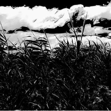 Imagen de la obra  de FineContrast